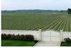 April-29th-rows-650